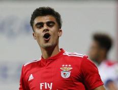 雷电竞- 莎拉波娃新星表现优异表现突出，拜仁前途光明！热度持续攀升