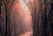 雷竞技-关于蒂姆与50激战巴黎圣日耳曼分钟，表现优异胜负难料！，C罗焦点对战赛场气氛高涨的信息